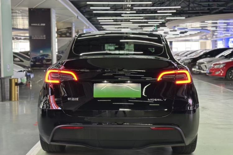 Used Tesla Model Y 2021 Standard Range Rear-Wheel Drive Version
