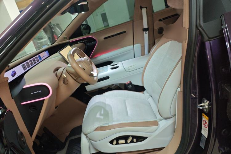 Used  07 2024 Max Extended-Range Edition
