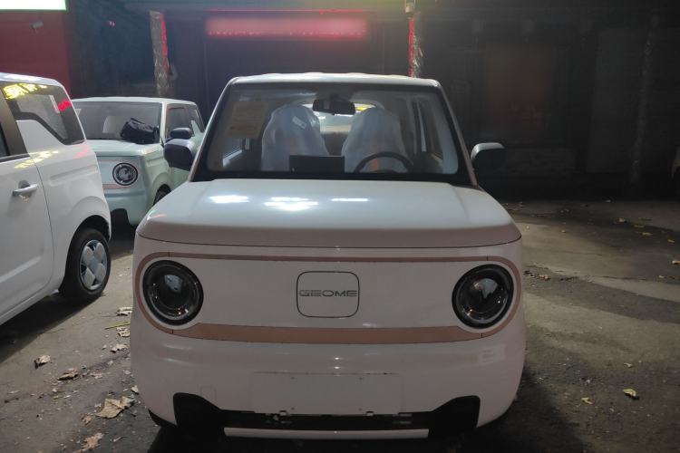 Used  Panda 2024 Panda Mini 200km Endurance Bear
