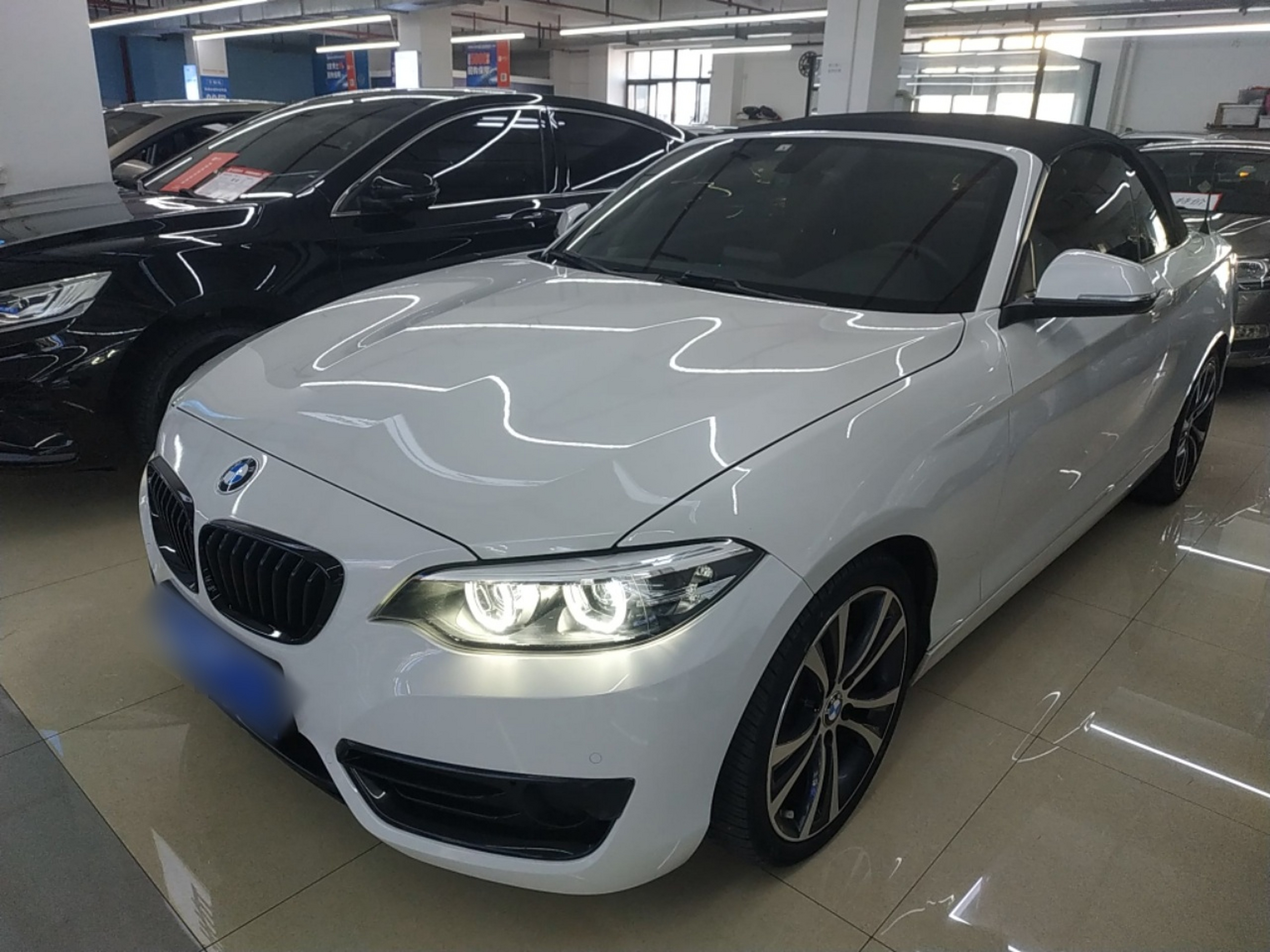 تحت مقدمة السيارة