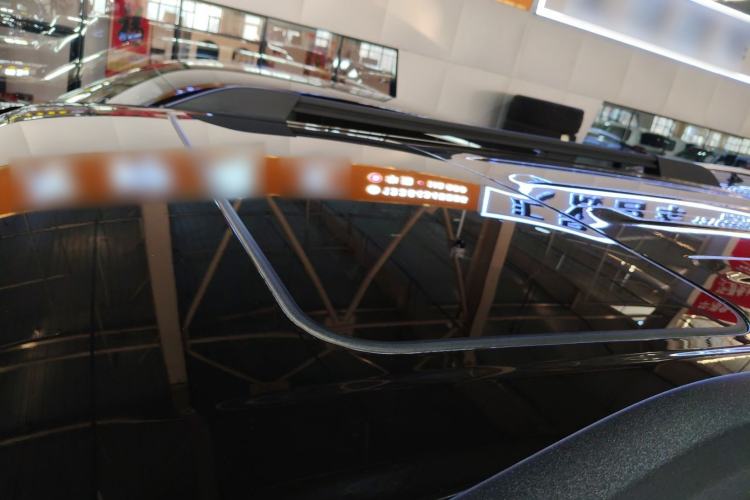 Used Tank 300 2024 2.0T Conqueror