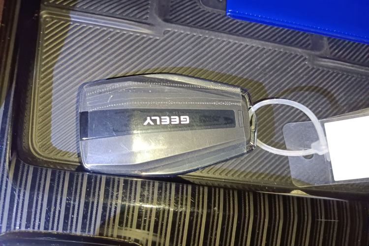 Used Geely Auto Monjaro L 2024 2.0TD High-Power Automatic Two-Wheel Drive Skyline Edition