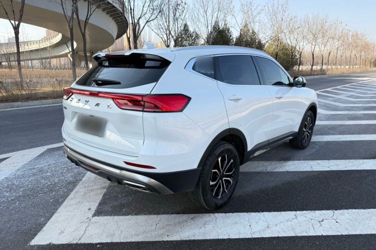 Used Haval H6 2023 National Trend Edition 1.5T Automatic Urban Version
