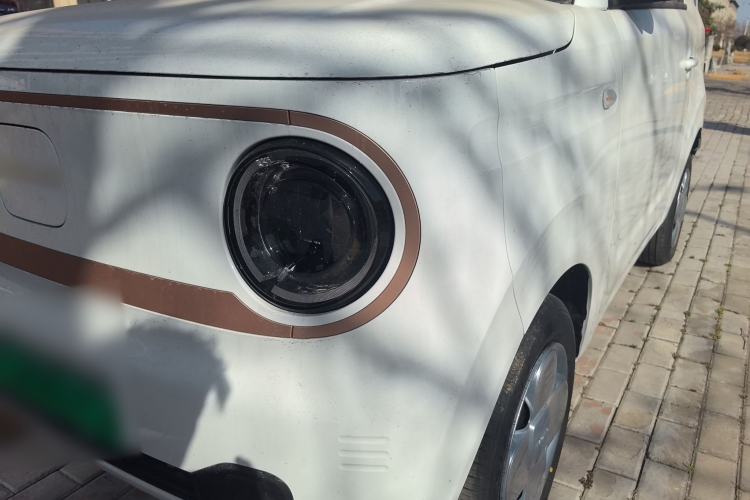 Used Geely Galaxy Panda 2024 Panda Mini 200km Endurance Bear