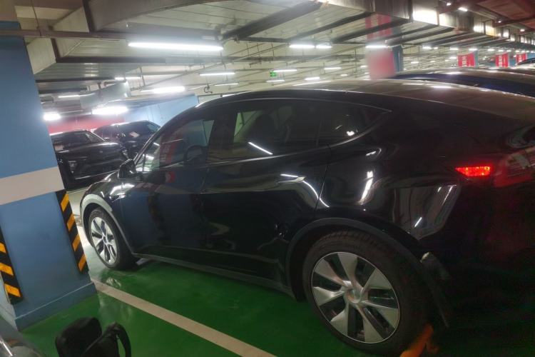 Used Tesla Model Y 2021 Standard Range Rear-Wheel Drive Version