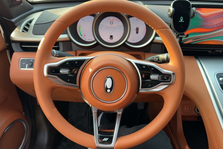 Used ORA Lightning Cat 2022 555 km Luxury Edition
