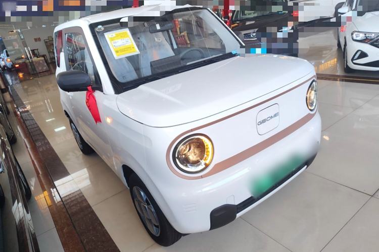 Used  Panda 2024 Panda Mini 200km Endurance Bear
