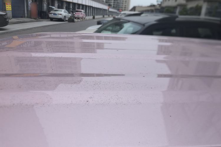 Used  Panda 2023 Panda Mini 200km Endurance Bear