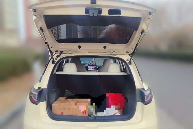 Used Geely Galaxy Geome 2025 310km Youth Edition
