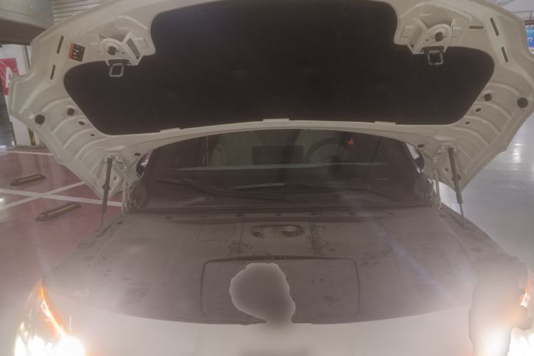 Used  #1 2022 Pulse Heartbeat Edition
