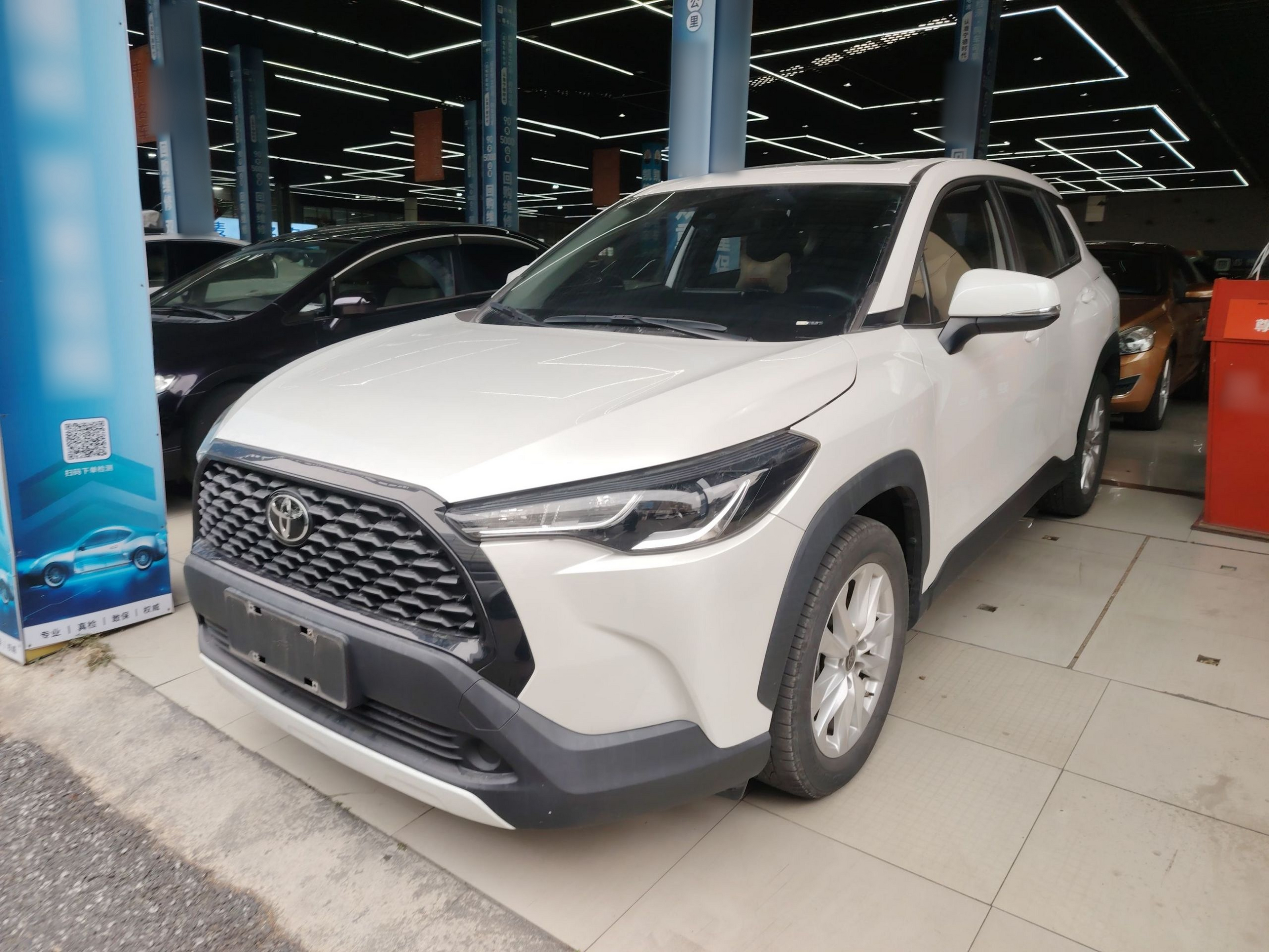 تحت مقدمة السيارة