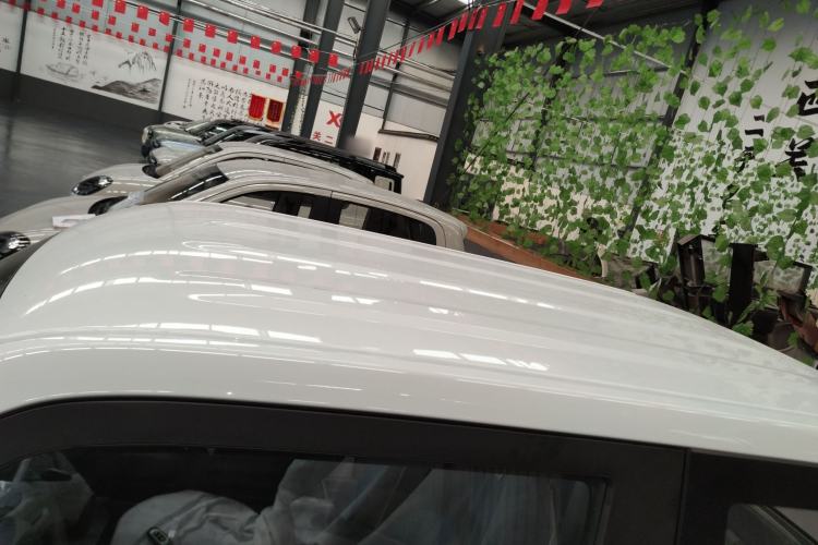 Used  Panda 2024 Panda Mini 200km Endurance Bear
