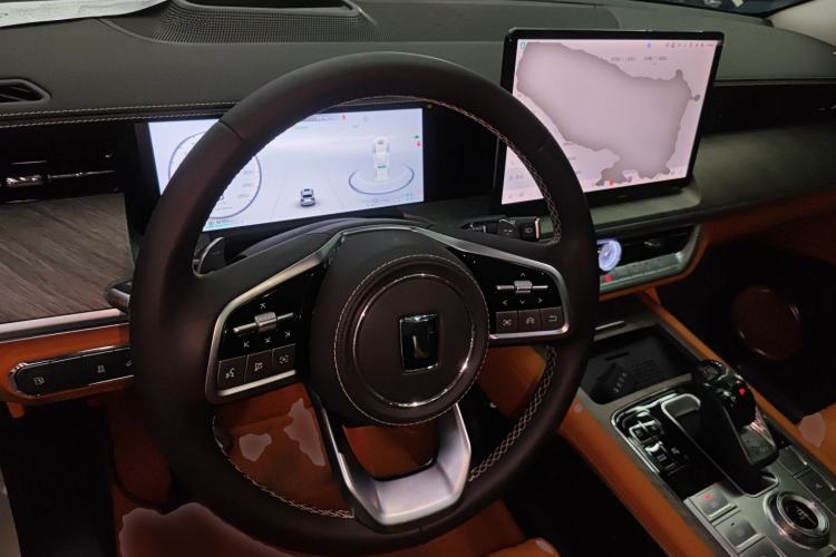 Used Tank 500 New Energy 2024 Hi4-T
