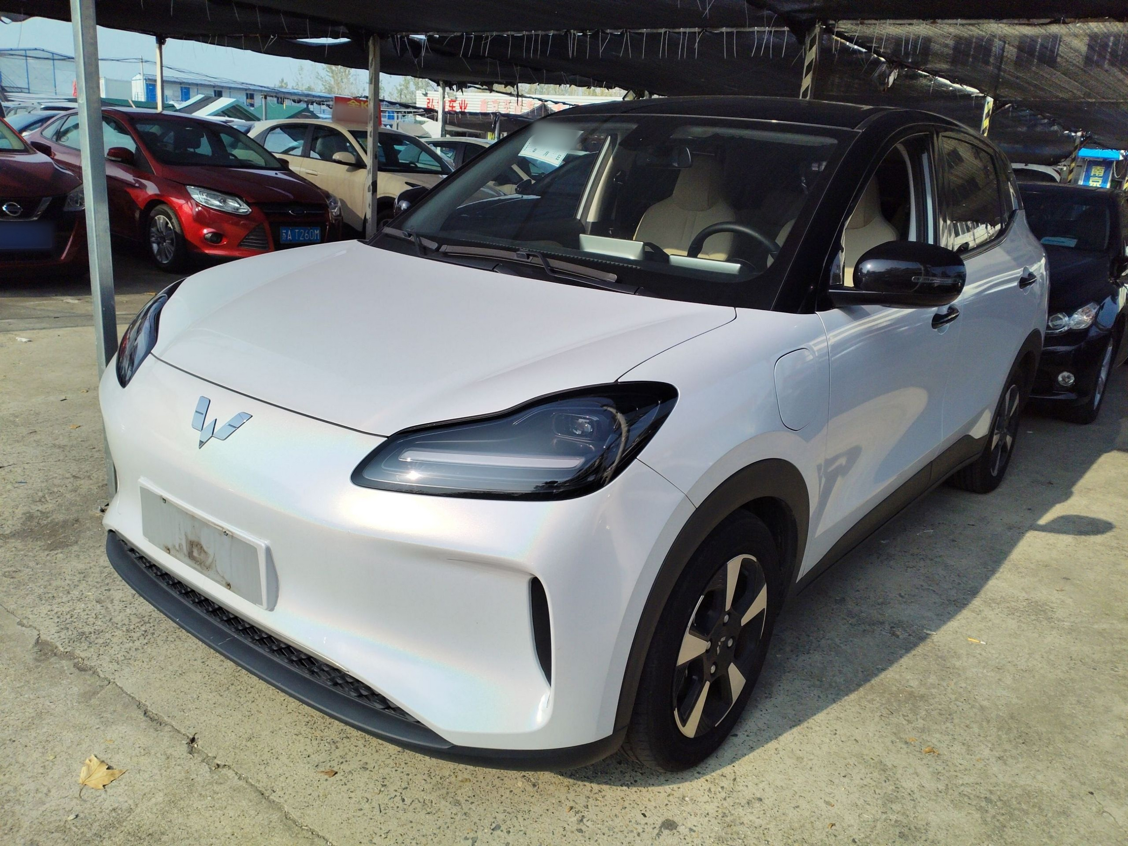 تحت مقدمة السيارة