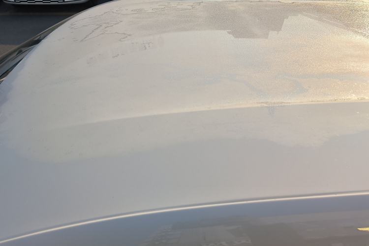 Used BYD Seagull 2025 305 km Free Version
