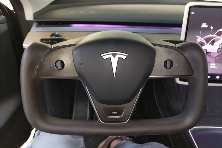 Used Tesla Model Y 2022 Revised Version Long-Range All-Wheel Drive
