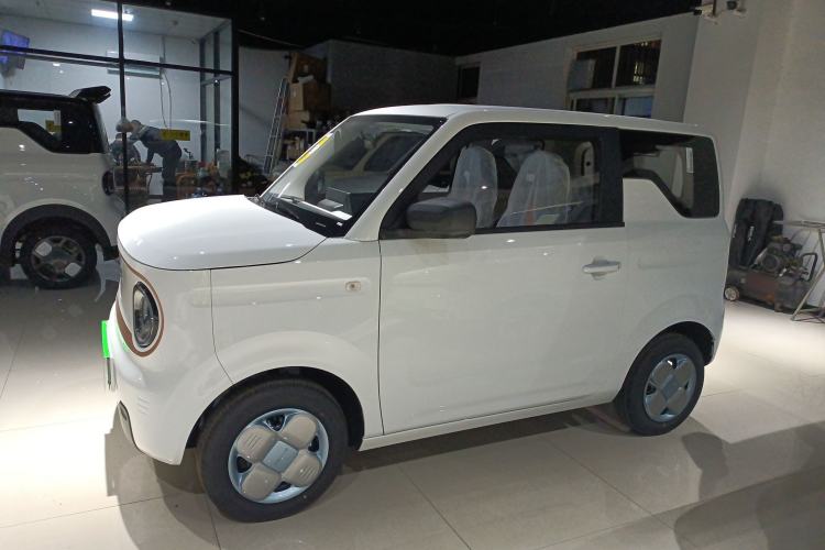 Used  Panda 2024 Panda Mini 200km Endurance Bear
