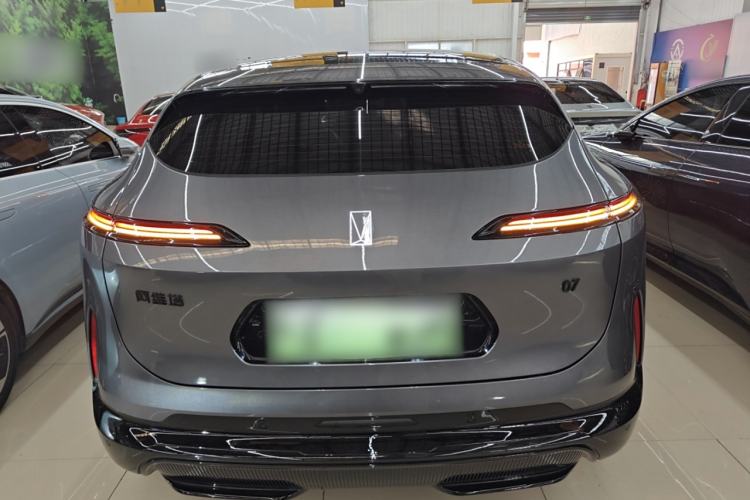 Used  07 2024 Max Extended-Range Edition
