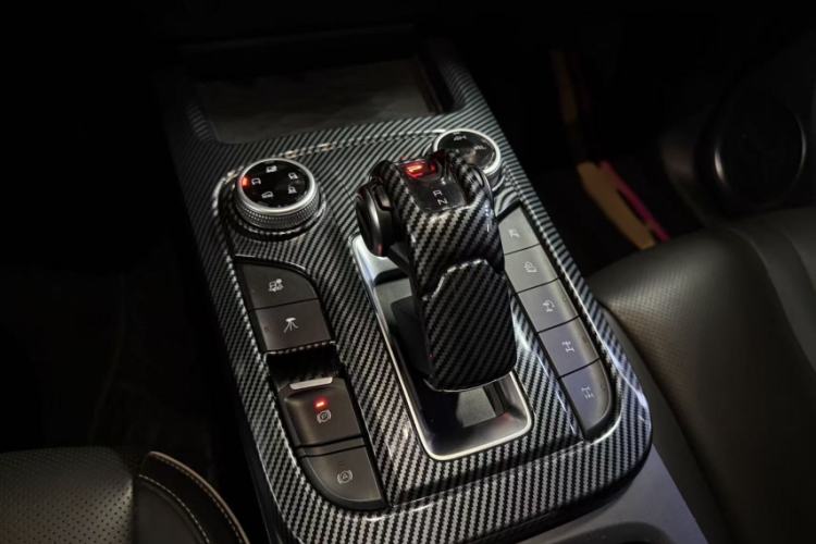 Used Tank 300 2024 2.0T Conqueror
