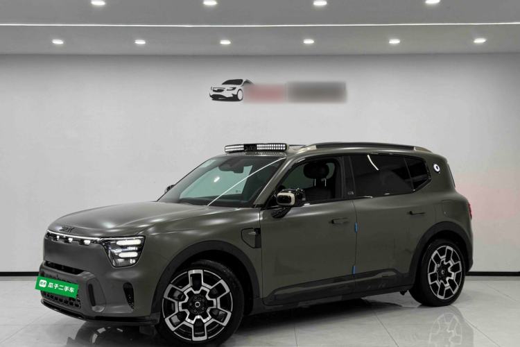 Used smart #5 2024 Jungle Realm Limited Edition