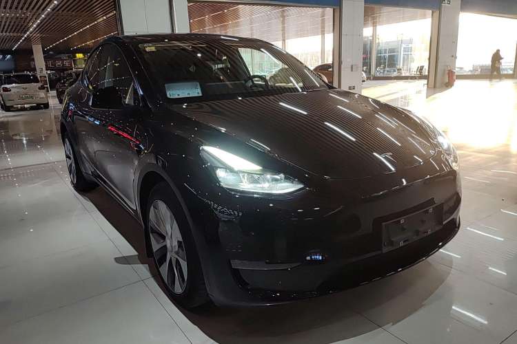 Used Tesla Model Y 2021 Long-Range All-Wheel-Drive Version 3D7
