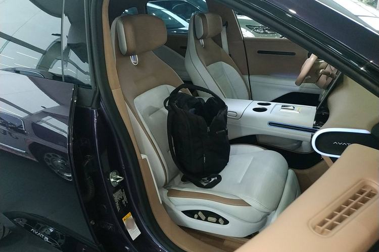 Used  07 2024 Max Extended-Range Edition
