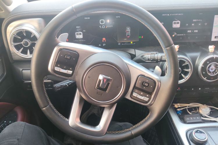 Used Tank 300 2024 2.0T Conqueror
