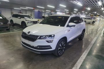 Used Skoda Karoq 2019 TSI280 SmartDrive Luxury Edition China V Standard