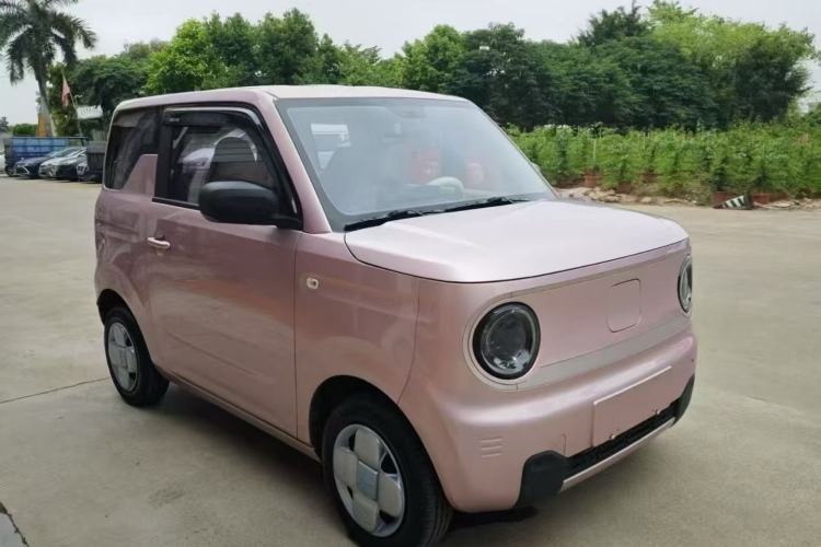 Used  Panda 2023 Panda Mini 200km Endurance Bear
