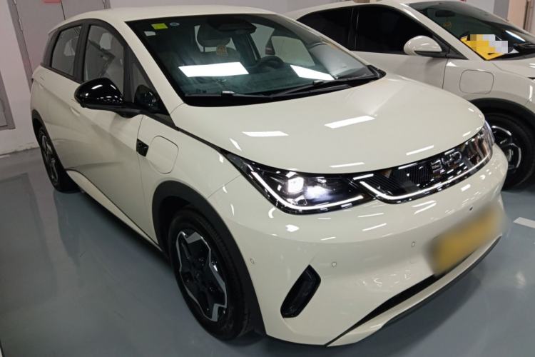 Used BYD Dolphin 2025 Smart Drive Version 420 km Freedom Edition
