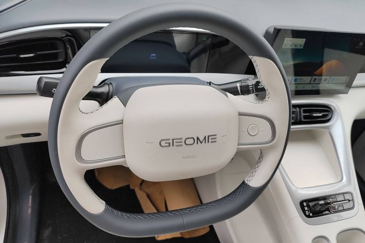 Used  Geome 2025 310km Youth Edition
