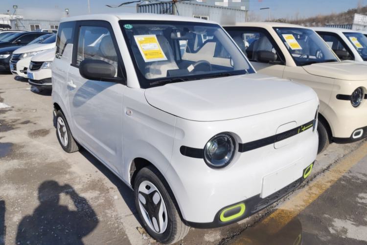 Used  Panda 2025 210 km – Yuanqi Bear
