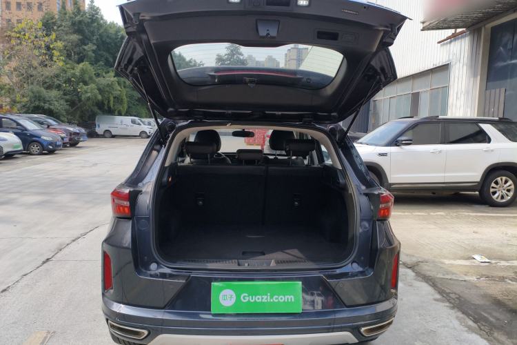 Used  Zhuifeng 2022 Chasing the Waves Edition 1.5T CVT Wind-Chasing Edition
