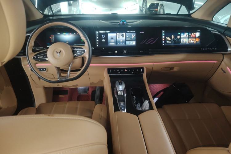 Used VOYAH Dream 2022 Low-Carbon Edition Home