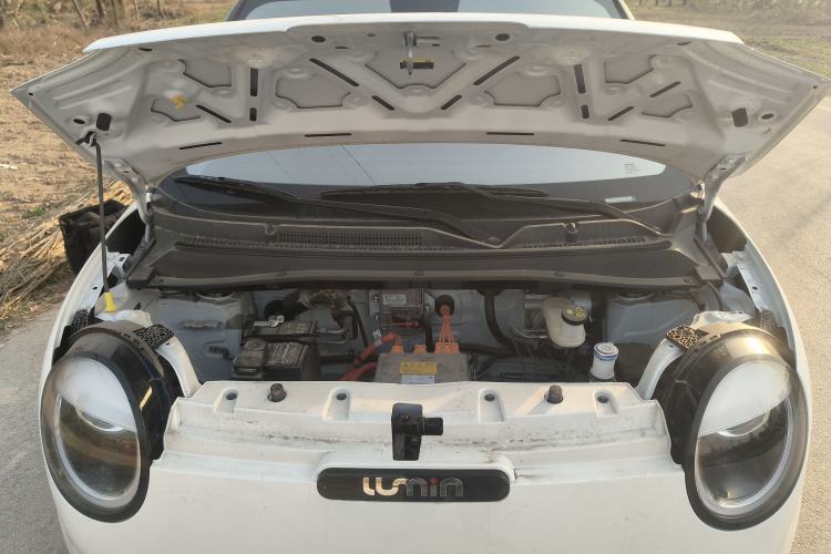 Used  Lumin 2025 205 km Xiangqin Version
