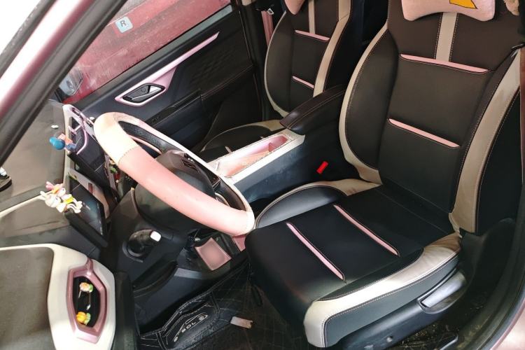 Used SOL E10X 2022 Flower Fairy Style Baby's Breath