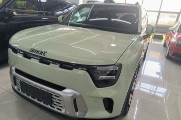 Used smart #5 2024 Ultra-Long Range Extraordinary Journey Luxury Edition