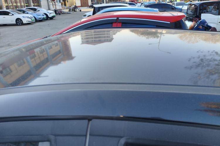 Used SOL E10X 2022 Flower Fairy Design Four-Leaf Clover