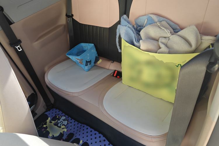 Used  Panda 2023 Panda Mini 200km Endurance Bear
