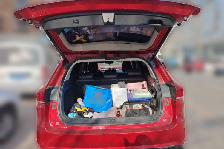 Used Wey VV6 2020 2.0T Two-Wheel Drive Smart Enjoyment+