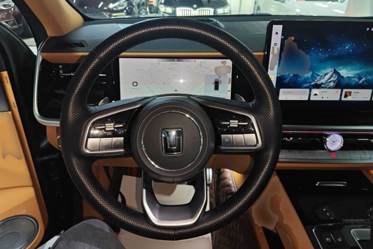 Used Tank 500 New Energy 2023 Hi4-T
