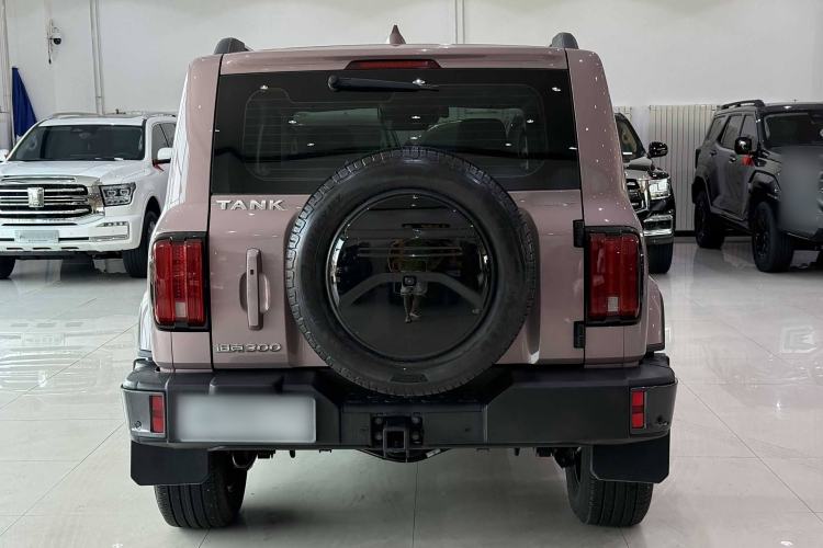 Used Tank 300 2023 City Edition 2.0T—Stylish as Ever
