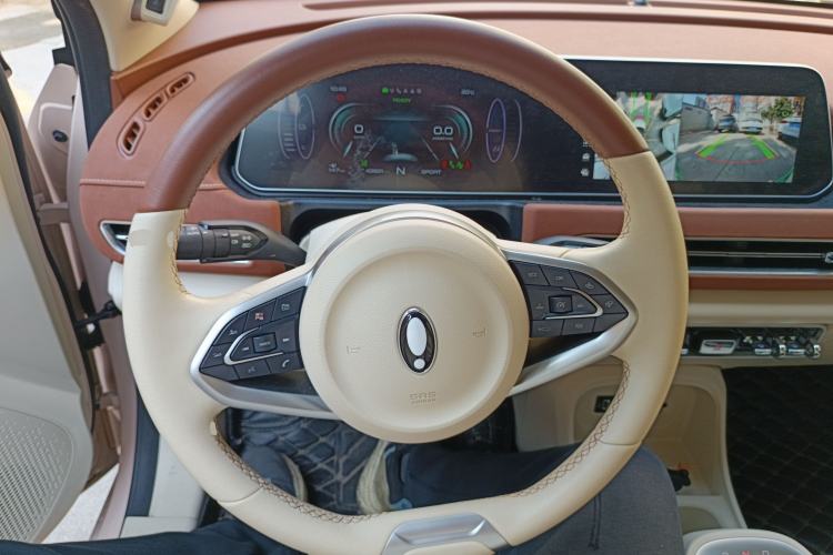 Used ORA Good Cat 2021 400km Standard Range Athena Edition Lithium-Ion Battery
