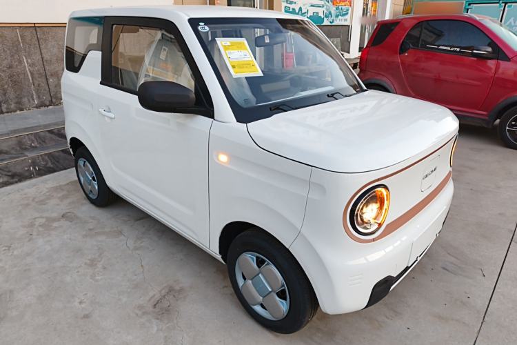 Used  Panda 2024 Panda Mini 200km Endurance Bear
