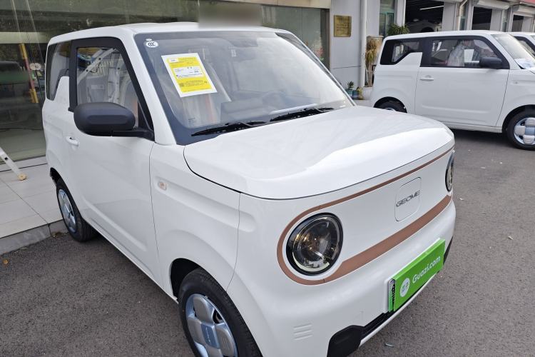 Used  Panda 2024 Panda Mini 200km Endurance Bear
