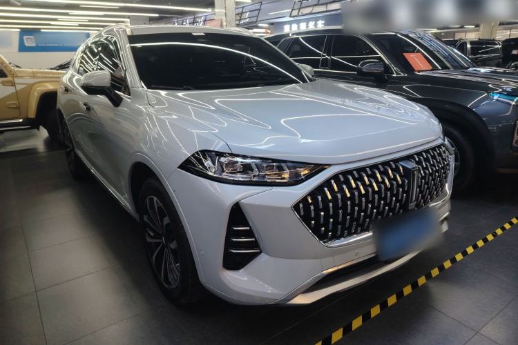 Used Wey Mocha 2021 2.0T Two-Wheel-Drive Ultra-Strong Version
