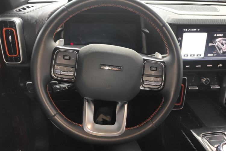 Used Haval DARGO 2021 2.0T DCT 4x4 Chinese Rural Dog Edition
