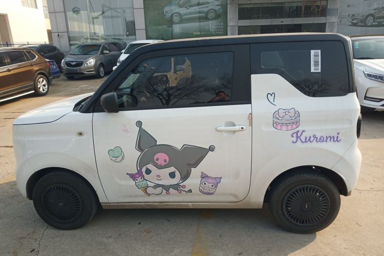 Used  Panda 2023 Panda Mini 200km Endurance Bear