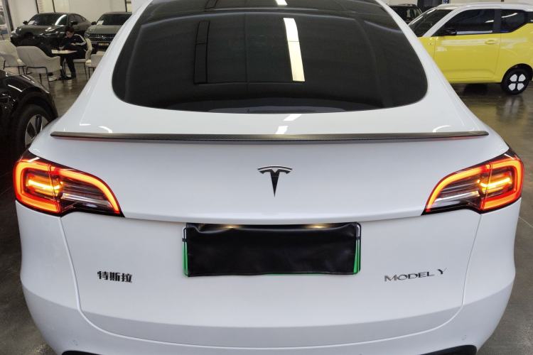 Used Tesla Model Y 2021 Standard Range Rear-Wheel Drive Version