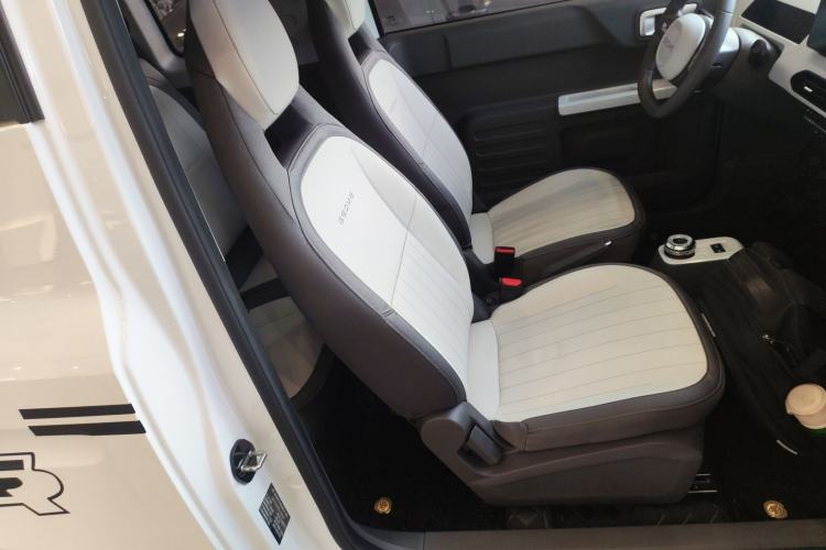 Used  Panda 2024 200km Panda Kart
